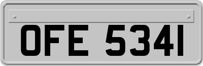 OFE5341