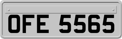 OFE5565