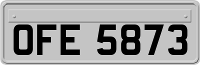 OFE5873