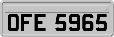 OFE5965