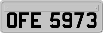 OFE5973