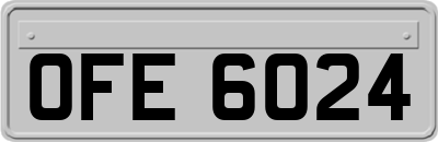 OFE6024