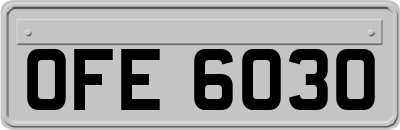 OFE6030