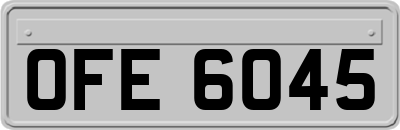 OFE6045