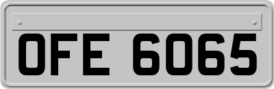 OFE6065
