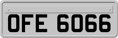 OFE6066