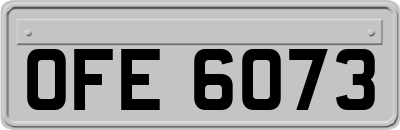 OFE6073