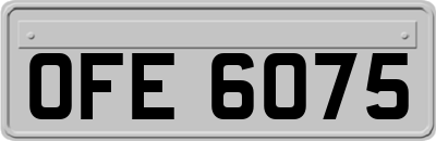 OFE6075