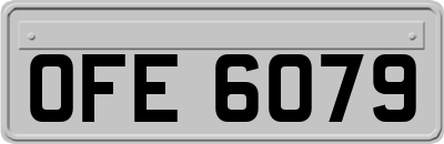 OFE6079