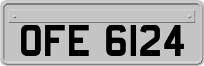 OFE6124