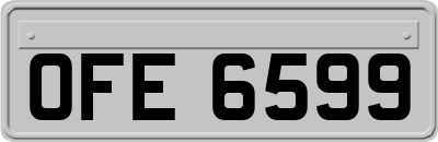 OFE6599