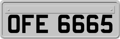 OFE6665