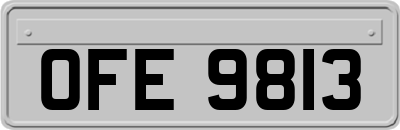 OFE9813