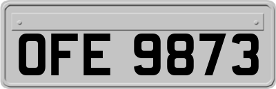 OFE9873