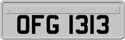 OFG1313