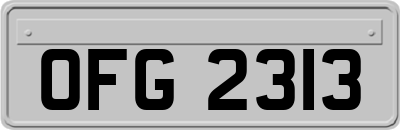 OFG2313