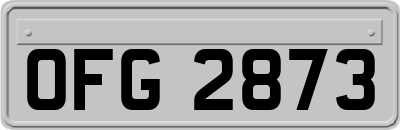 OFG2873