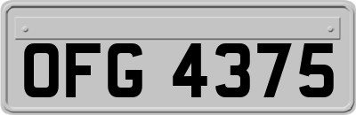 OFG4375