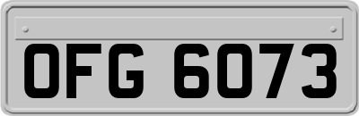 OFG6073