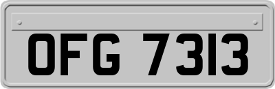 OFG7313