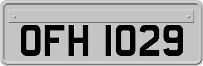 OFH1029