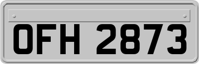 OFH2873