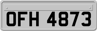 OFH4873
