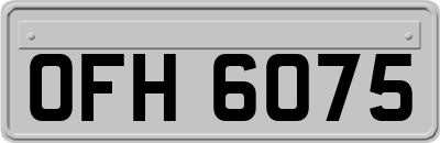 OFH6075