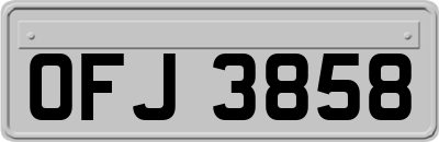 OFJ3858