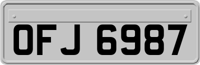 OFJ6987