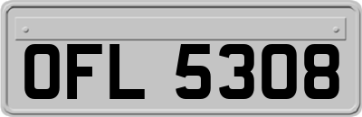 OFL5308
