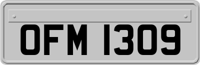 OFM1309