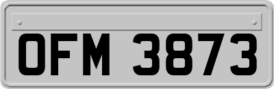 OFM3873