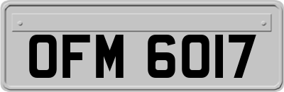 OFM6017
