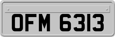 OFM6313