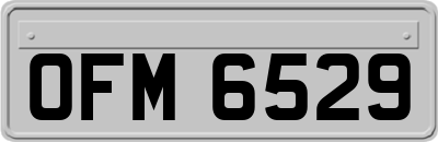 OFM6529