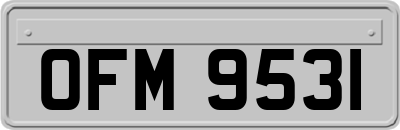 OFM9531