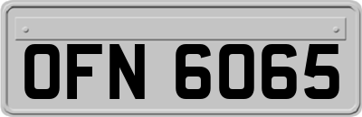 OFN6065