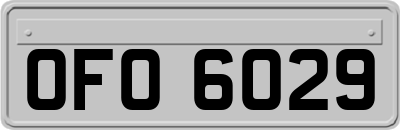 OFO6029