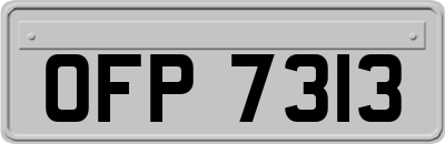 OFP7313