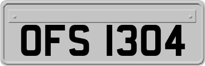 OFS1304