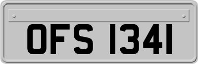 OFS1341