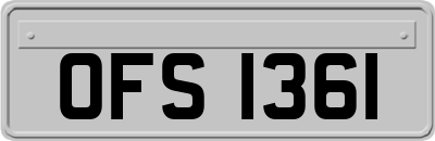 OFS1361