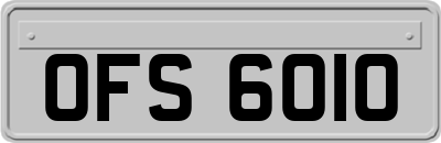OFS6010