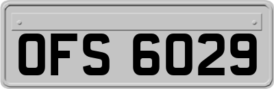OFS6029