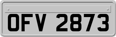 OFV2873
