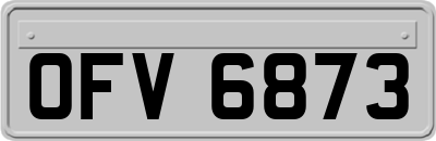 OFV6873