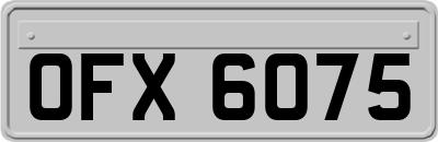 OFX6075