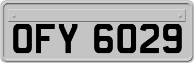 OFY6029