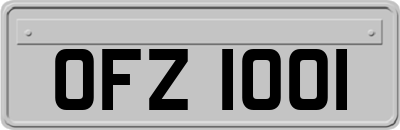 OFZ1001
